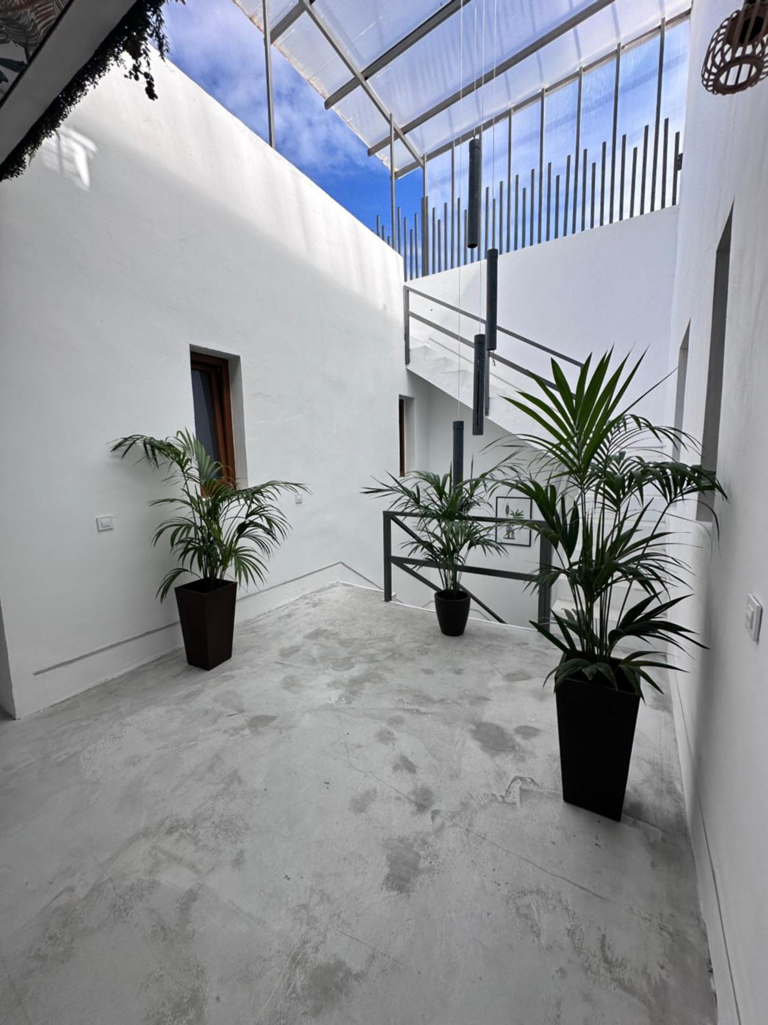 Euphorbia Suites ลอส ซิลอส ภายนอก รูปภาพ